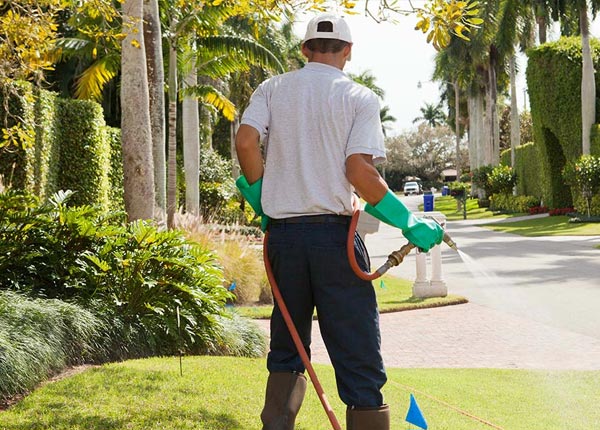 About Lehman PA Pest Control